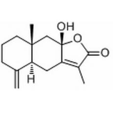 白術內(nèi)酯III
