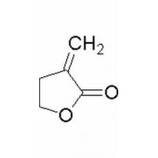  2-甲烯基丁內酯