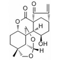 黃花香茶菜甲素，黃花甲素，大萼變型甲素