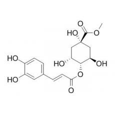 甲基 4-咖啡?？崴狨? width=